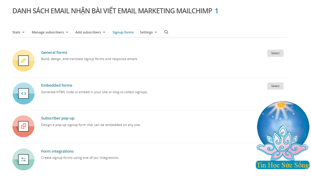 cac dang form mail chimp