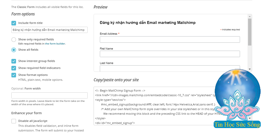 dien thong tin form mailchimp